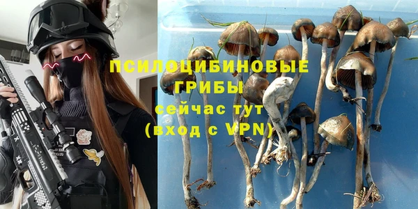 прущие крисы Волоколамск