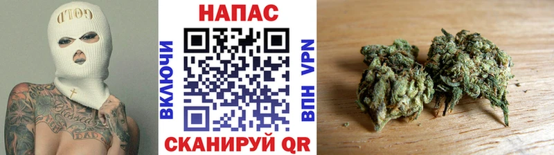 Бошки Шишки семена  Петрозаводск 